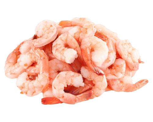 Shrimp img